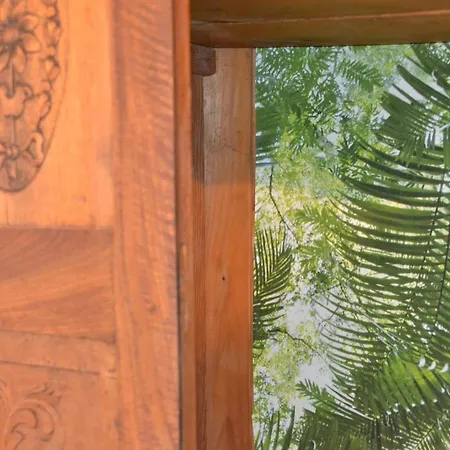 Tatil Evi Tsartsada House Ano Lefkimmi